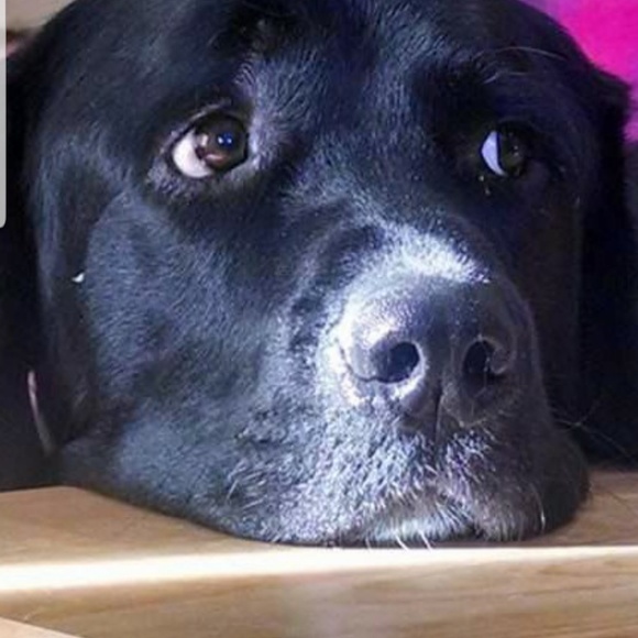 Meet your Posher, Eric - Picture 1 of 1